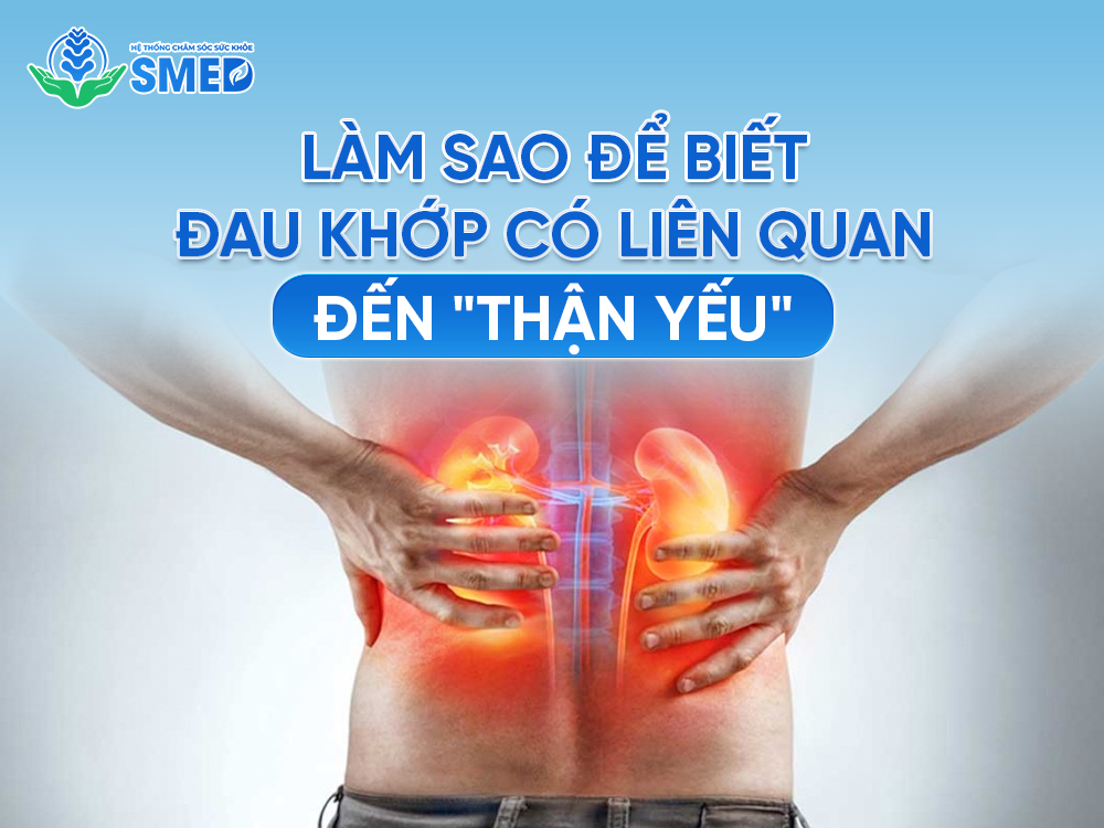 Thận yếu có liên quan đến xương khớp không 
