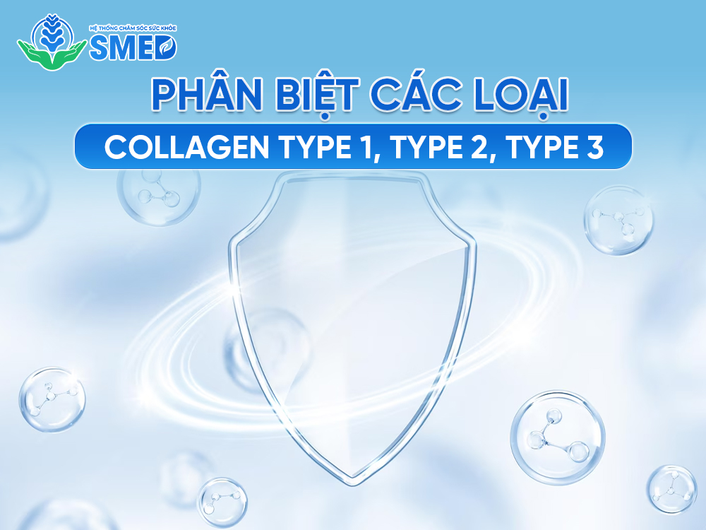 Các loại collagen type I II IIII có tác dụng với xương khớp như thế nào? 